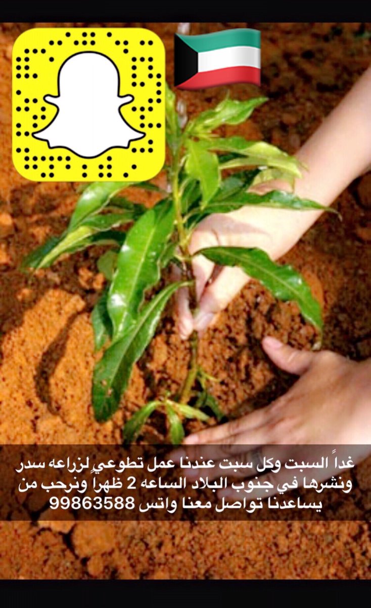 kuwait_CP's tweet photo. عندنا كل سبت عمل تطوعي ومركزين هالسنه على السدر جنوب البلاد واللي حاب يتطوع يتواصل معاي واتس فقط 
99863588 https://t.co/Q9BLXfuoqh