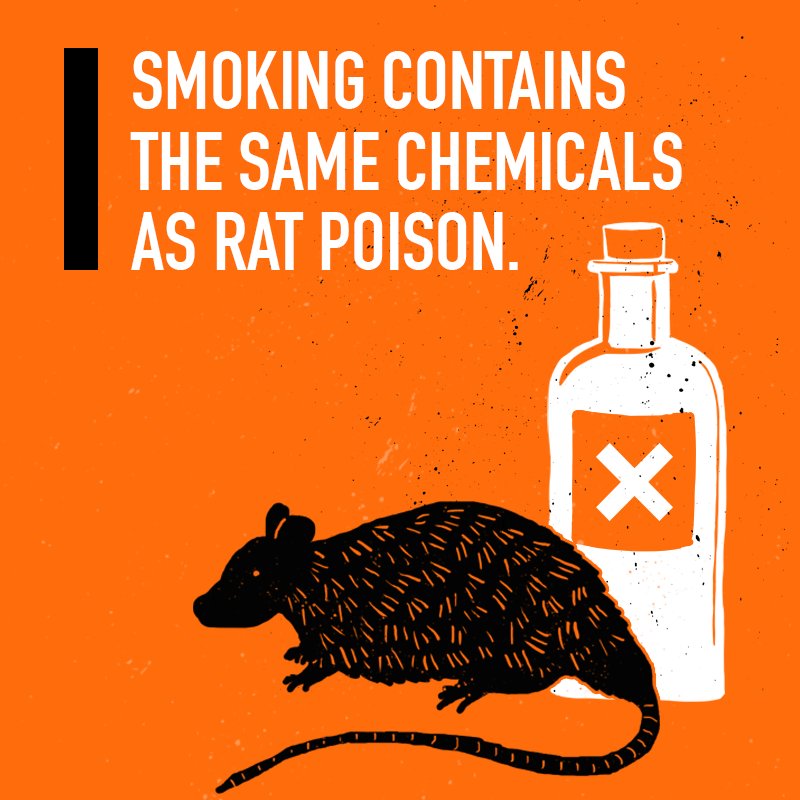 Uzivatel Truth Na Twitteru Cigarette Smoke Contains Hydrogen Cyanide The Same Chemical Found In Rat Poison Putting That In Your Body Is Pretty Frightening Halloween Https T Co Skbu8ipkmk Twitter