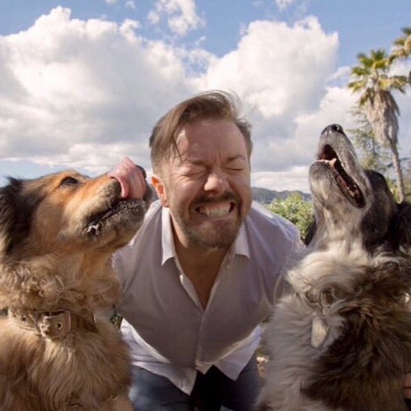 rickygervais's tweet image. I am donating $40,000 from my LA #Humanity shows, split equally between largerthanlifela.com and humanesociety.org