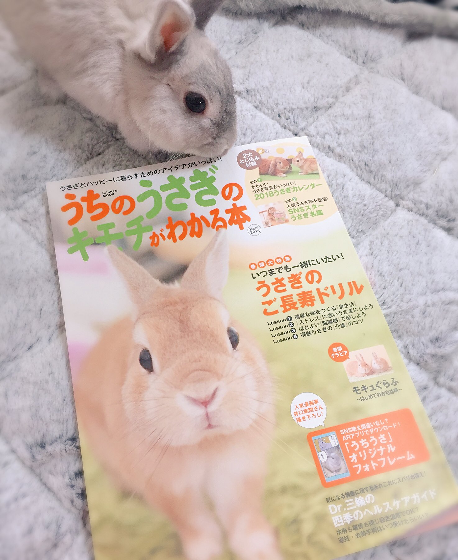 井口病院 うちのうさぎのキモチがわかる本 を買うとゲットできるフォトフレームのイラストを描きました 表紙にもちょこっと載ってるよ T Co Bzyamfrvij Twitter