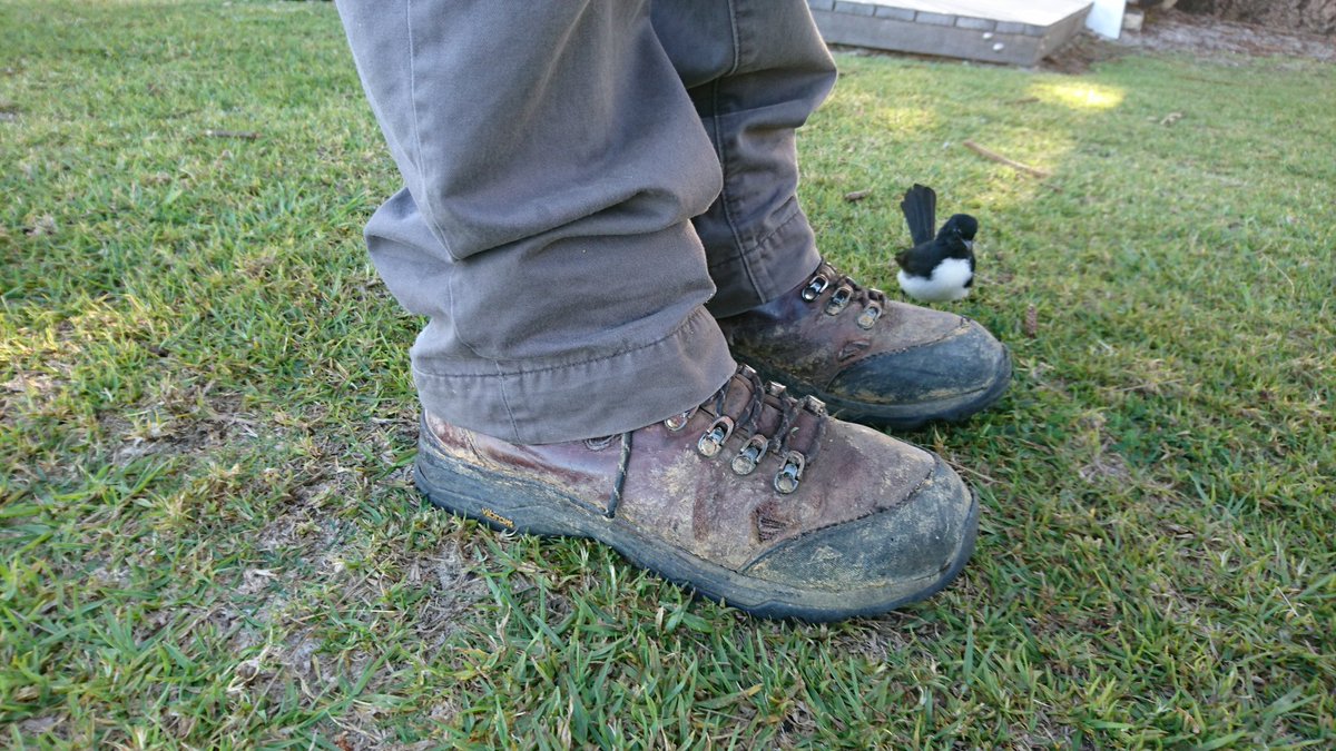 Mandy Bamford tweet media