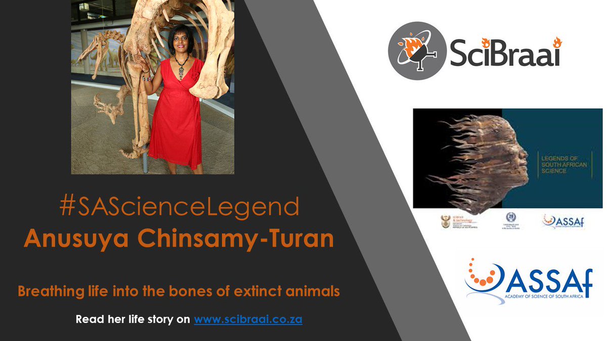 SciBraai's tweet photo. Want to know more about @palaeo_prof Anusuya Chinsamy-Turan? Read #SAScienceLegend on @Scibraai https://t.co/Qqn8wxKouQ  via @ASSAf_Official https://t.co/xlby58KE9Z