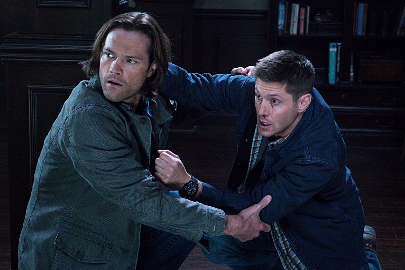 IMDb's tweet photo. #DidYouKnow: The longest-running horror TV series is #Supernatural (2005 to present), 12 seasons and running. https://t.co/pqquqObjn3 https://t.co/bwq7hRvuFx