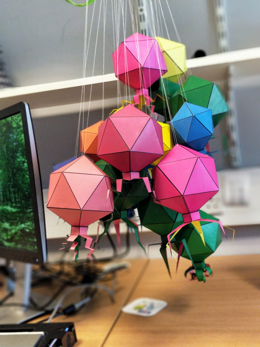 implosian's tweet photo. Who need balloons when you have bacteriophages? https://t.co/kzAPqHc3ww