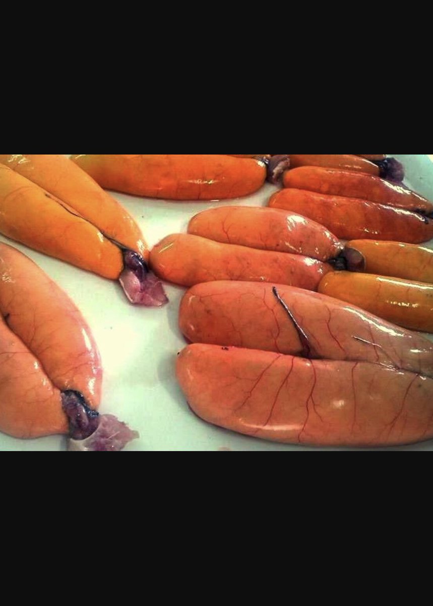 exclusivepone's tweet photo. The gold of Sardinian: Bottarga of cabras muggles.

For info:
Info@exclusivepromotion.net
Gagan@exclusivepomotion.net https://t.co/jHX3Qkz5pA