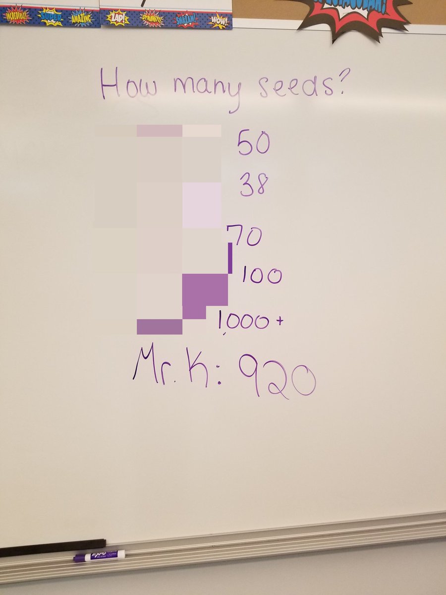 MsShea12's tweet photo. How many seeds are in a pumpkin? @MissBluhm class made some predictions with special guest @WoodlandMilford !
#BeWES #BeATeam #BeScientists https://t.co/MxWcUFY5hw