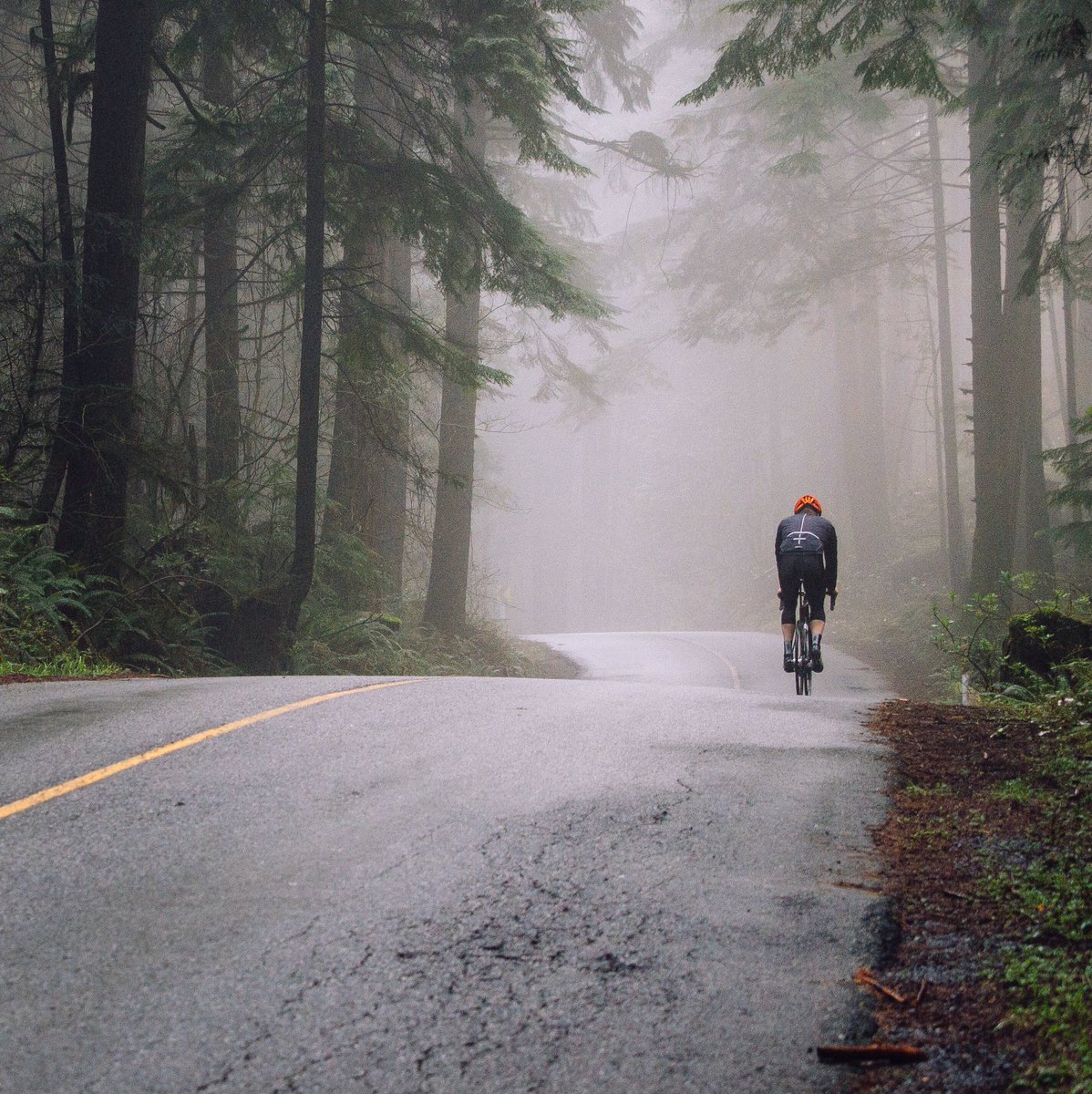 NeilPrydeBikes's tweet photo. Into the mist.

#NeilPrydeBikes #DesignedToEscape #ZEPHYR https://t.co/syl2p17QOQ