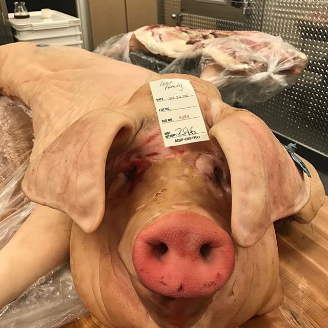 There's always gotta be a first! Thank you <a href="/LoveFamilyFarm/">Love Family Farm</a> can't wait to taste the goodness. 🙏