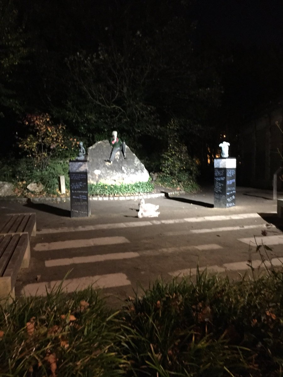 oconnellsandra's tweet photo. Serene beauty tonight on #MerrionSq ... two cygnets at the foot of #OscarWilde statue ... enchanted creatures @darcspace @Gilleeece https://t.co/34KPeRcxPe