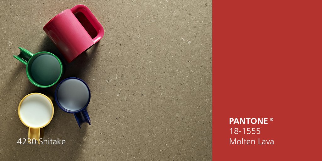 CaesarstoneUSA's tweet photo. Caesarstone #coloroftheday: Shitake. Pantone color of the day: Molten Lava. A match made in heaven! Explore Shitake: https://t.co/lBjsR6yw8a https://t.co/fIxjj8indG