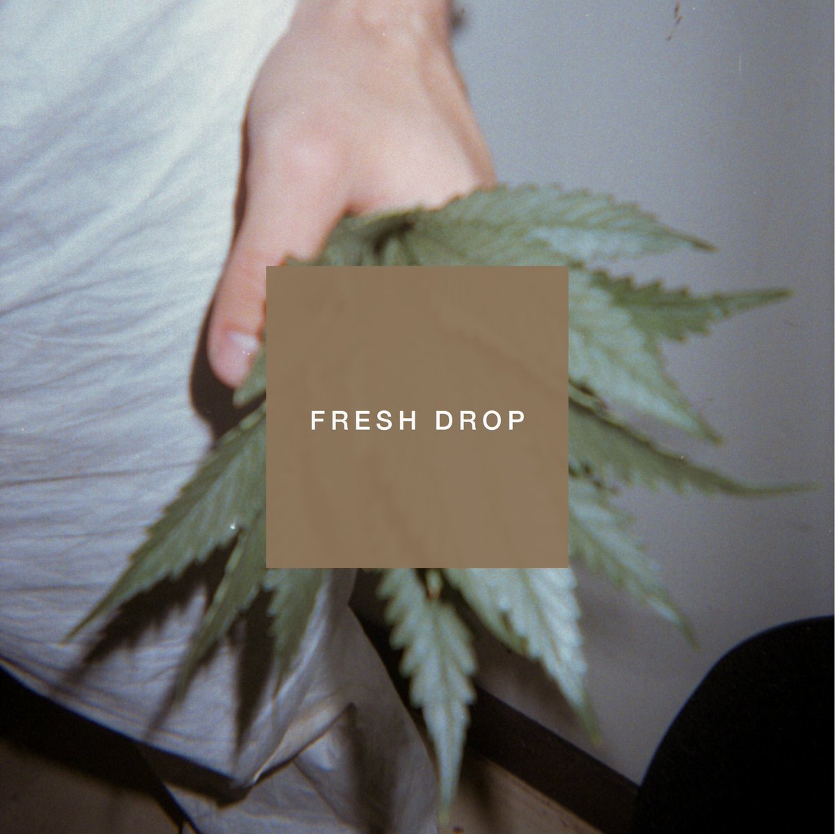 NrthernEmeralds's tweet photo. FRESH DROP #NORTHERNEMERALDS #devourtheflower at Elemental Wellness #MoonstoneKush @elemental_wellness0420 #elementalwellness https://t.co/cpgH1NClXs