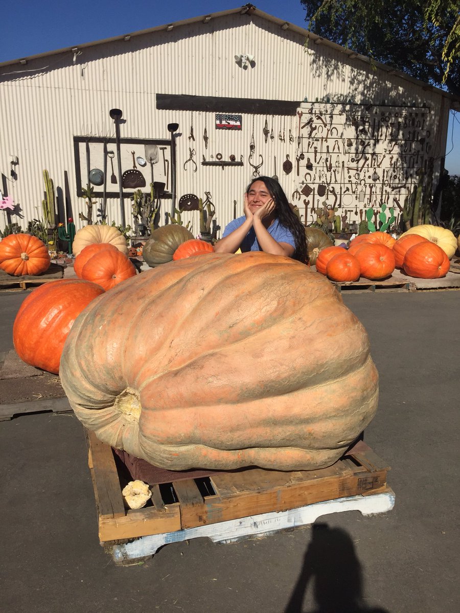 HyperPotions's tweet photo. FOUND THE BIGGEST PUMP https://t.co/E92LBqly90
