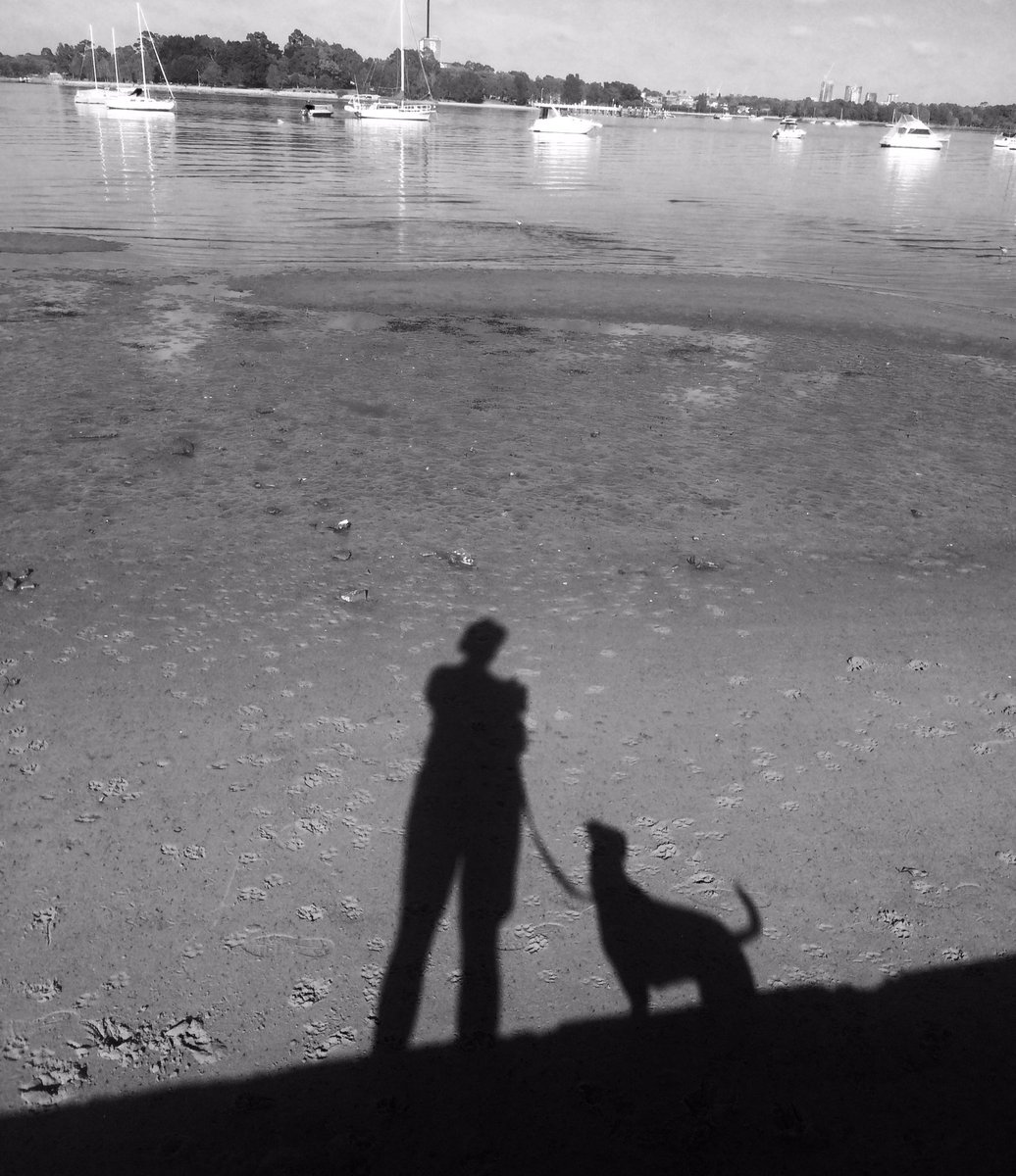 mark_mgiblin's tweet photo. His Masters Voice. Or maybe His Masters Selfie. #dog #silhouette #photography https://t.co/KQisNsilO6