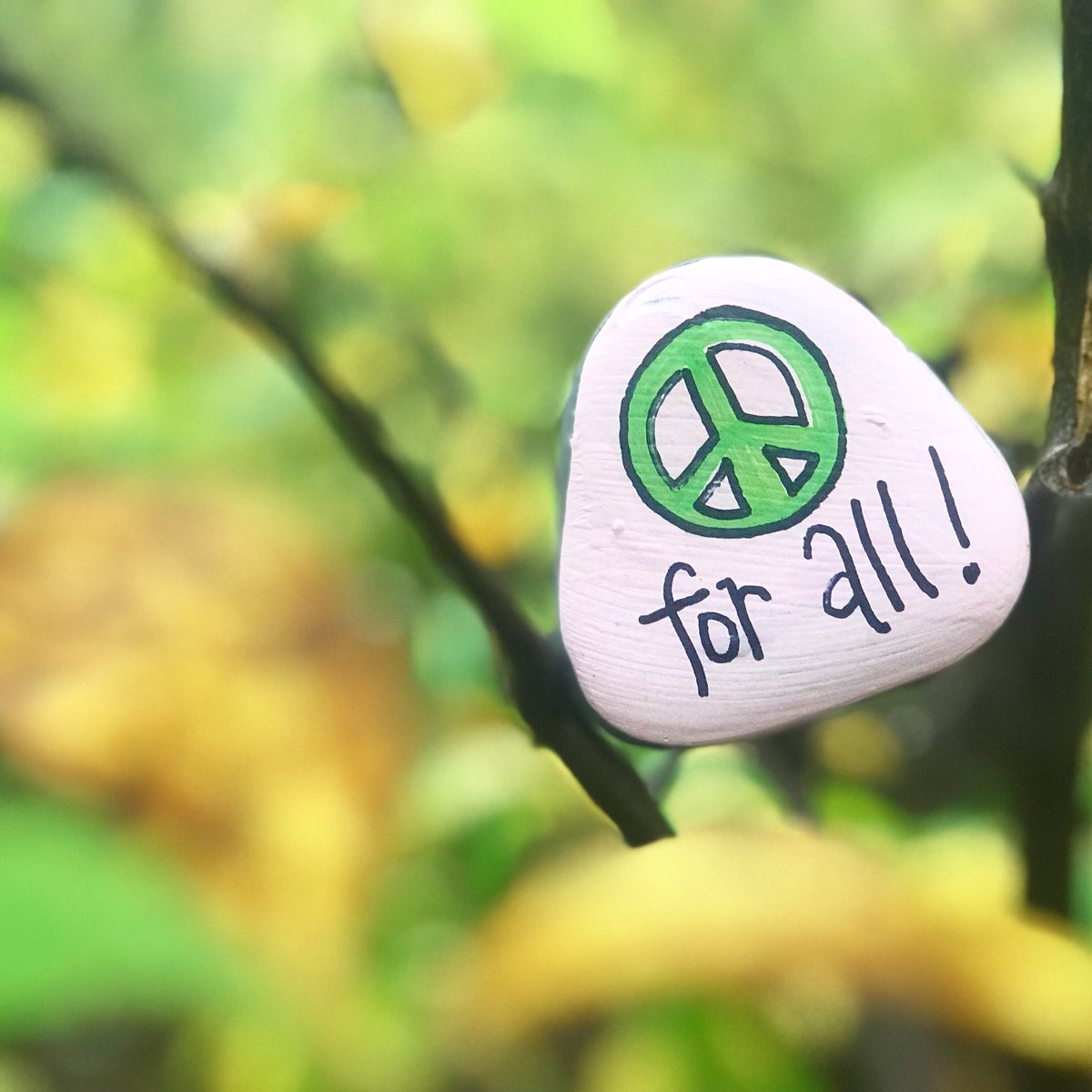 theKindnessrock's tweet photo. โ๐ป4 ๐!
#thekindnessrocksproject #bekindtooneanother #choosekindness #makekindnessrocks https://t.co/nr1kzN9bcc