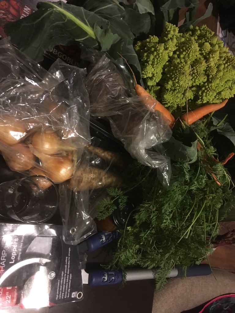 daffydowndilly's tweet photo. @DhoonSchool @hospiceiom Shame I didn’t get the pheasants but won enough vegetables for the next week #mhelliah #iom https://t.co/0svSyRr0UX