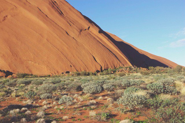 academicourses's tweet photo. Stricter #English #LanguageRequirements in #Australia? #academiccourses #studyabroad #intlstudents #language #study https://t.co/S5pFuiF3K8 https://t.co/f5D0JnFZi2