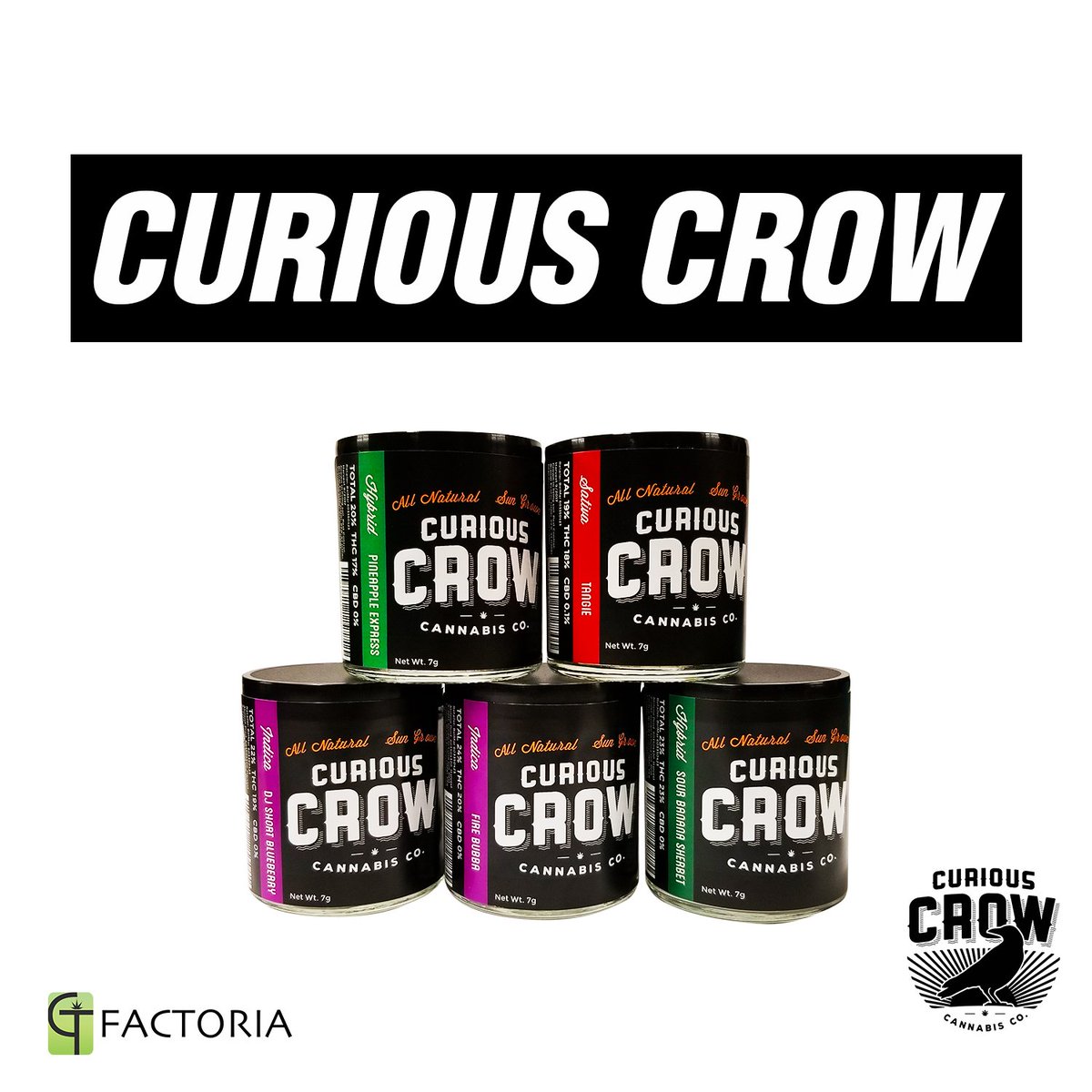 green_theory502's tweet photo. We are now proud to carry @CuriousCrowCC at our Factoria Location! A top notch outdoor grow!
#GreenTheory #CuriousCrow #Tangie #Marijuana https://t.co/DiVzQOgE4K