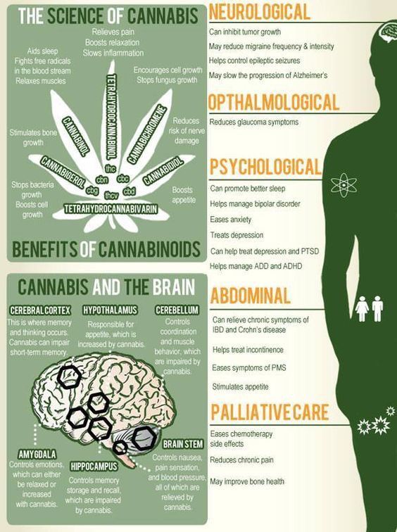 StonersTreefer's tweet photo. #CBD #cbdoil #CBD2017 #mmj #CannabisCommunity #CannabisMedicinal https://t.co/gSMNrVop8J Benefits of Cannabinoids https://t.co/Qq77yJC4dI