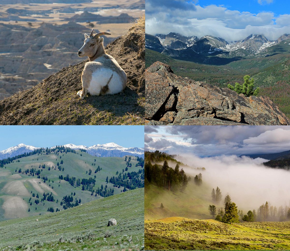 NC_CASC's tweet photo. Announcing newly-funded #NCCSC projects that build on and create new opportunities for usable #climate #science - https://t.co/iBEn1hnP5L https://t.co/grZRnDxC5b