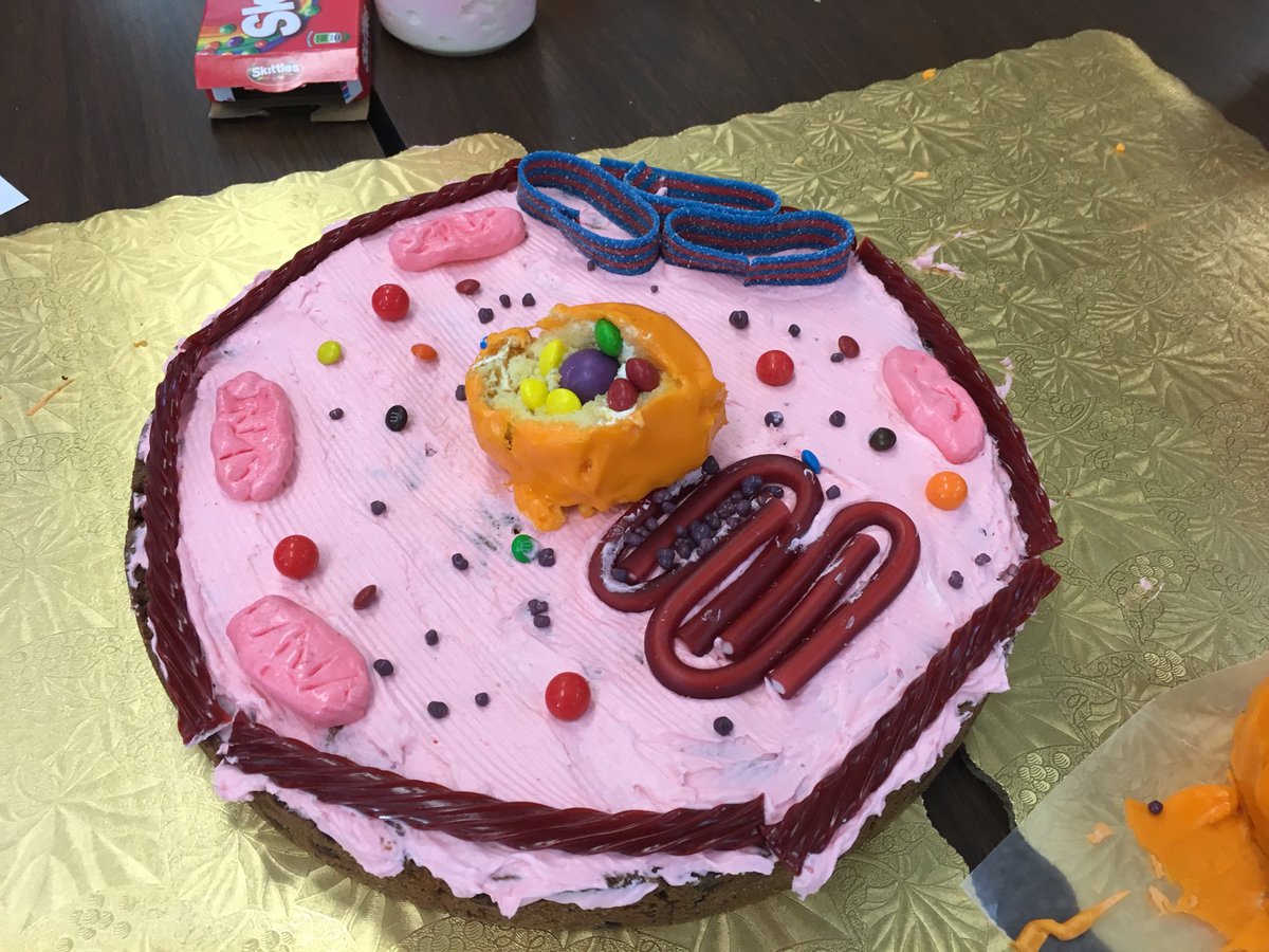 Mrs. Trabold Psd202 tweet media