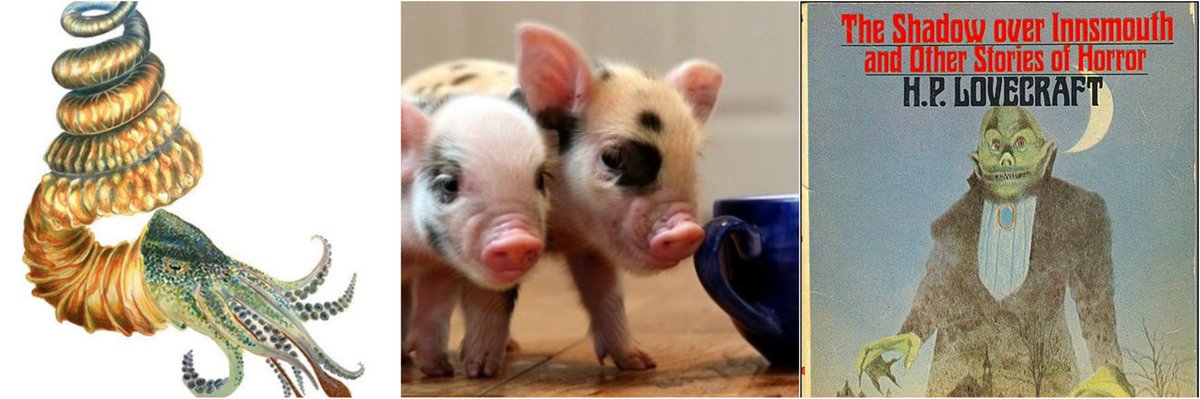 NerdNiteEB's tweet image. Mon 10/30! @NerdNiteEB at @club21oakland!
Squid, DNA Editing, Cthulhu Cult!
All proceeds to North Bay Fire Relief!
fb.com/events/2120706…