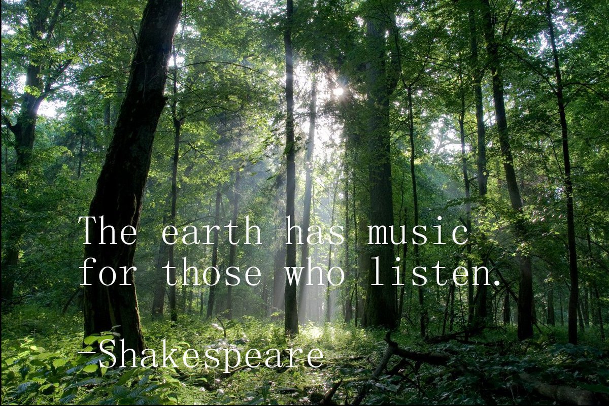 RealSongPlan's tweet image. 