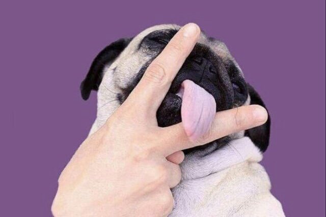 againstalloodz's tweet image. Moi quand on me dit "fait gaffe tout le monde te regarde"