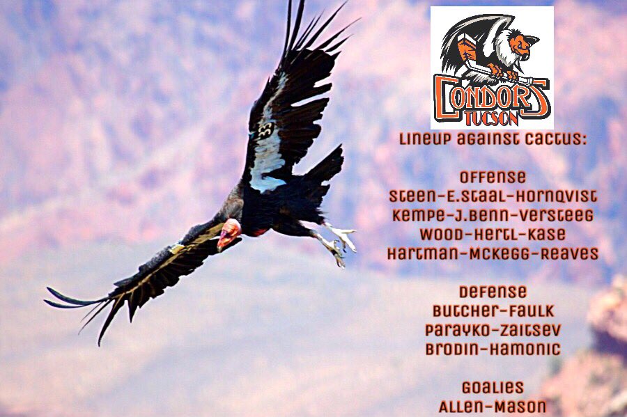 CondorsTucson's tweet photo. #HereWeGo @ArzCactus First game of our #rivalry begins...now!!! Here’s the lineup of the #Condors #beatArizona #whynotus? https://t.co/yQdWMZUa7s