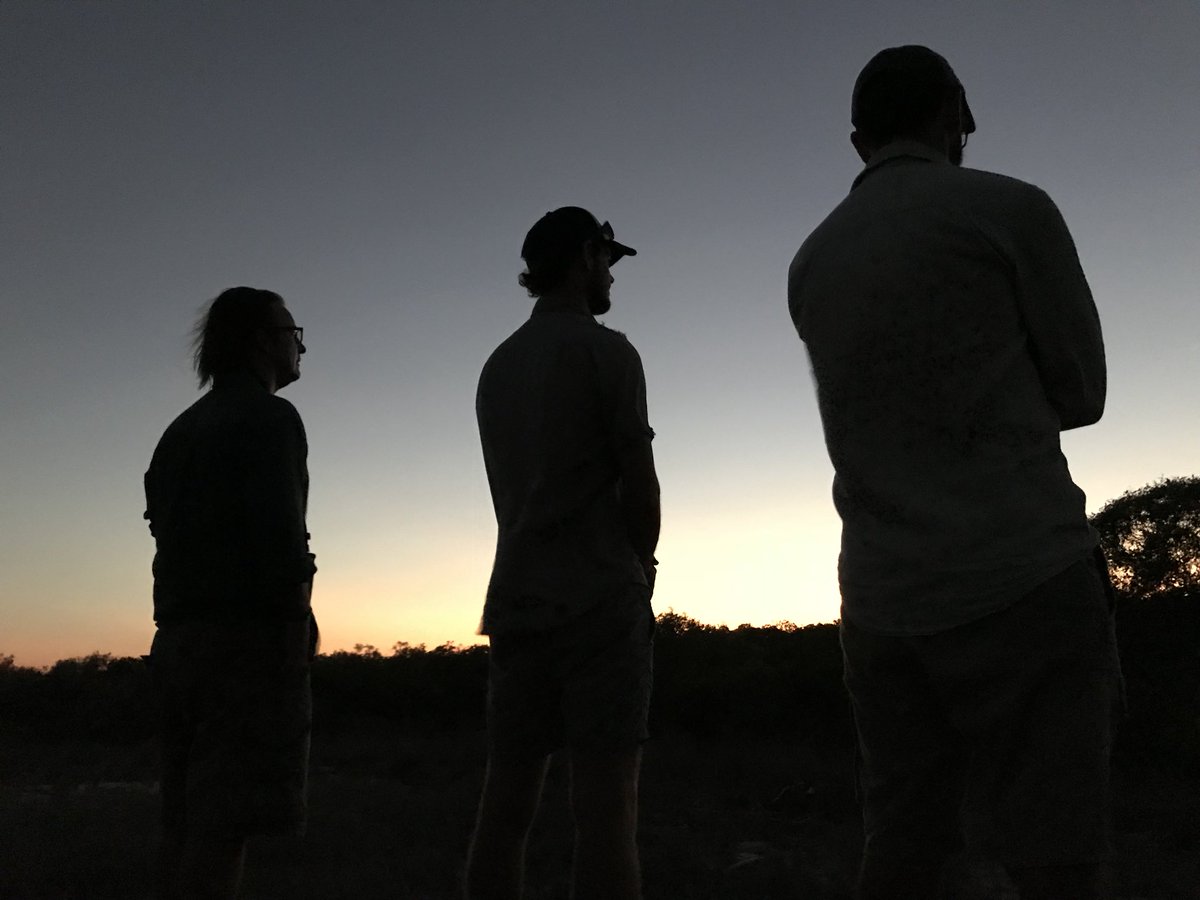 ruff_knights's tweet photo. Getting in to Broome on 88 after the morning mangrove and lakes session #twitchathon @WAbirding https://t.co/l7ujM0xyeM