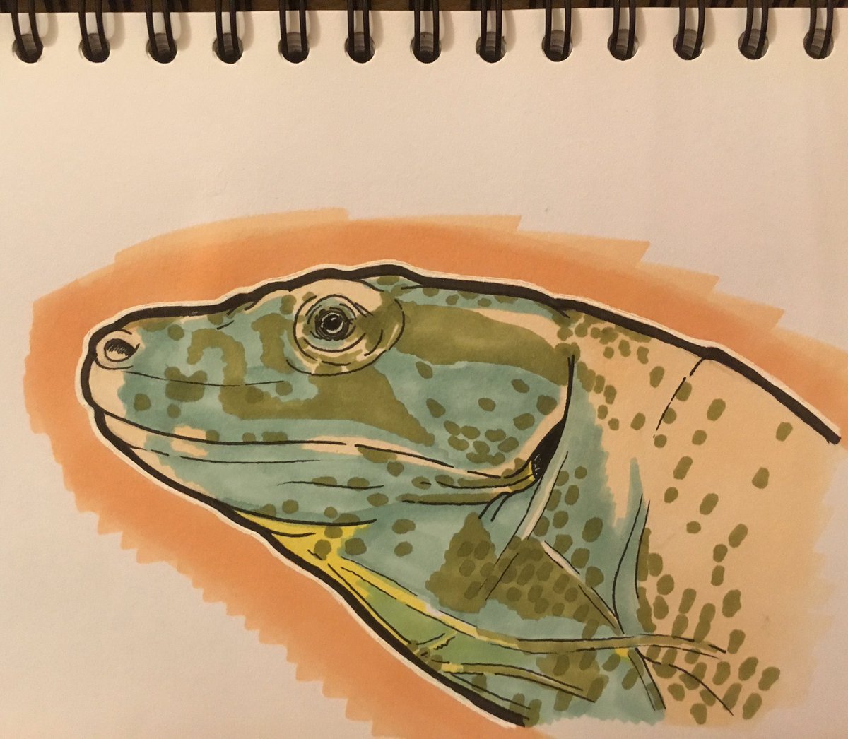 Squarespecs's tweet photo. #inktober day 27 Komodo dragon head sketch #inktoberday27 #INKTOBER17 #inktober2017 https://t.co/fvSncrMAZh