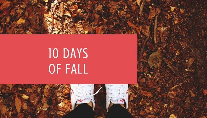 HomeschoolTea's tweet photo. 10 Days of Fall - Homeschooling With Tea https://t.co/3vB41th1mw via @https://buff.ly/2gDfkFh https://t.co/PcHgXsj753