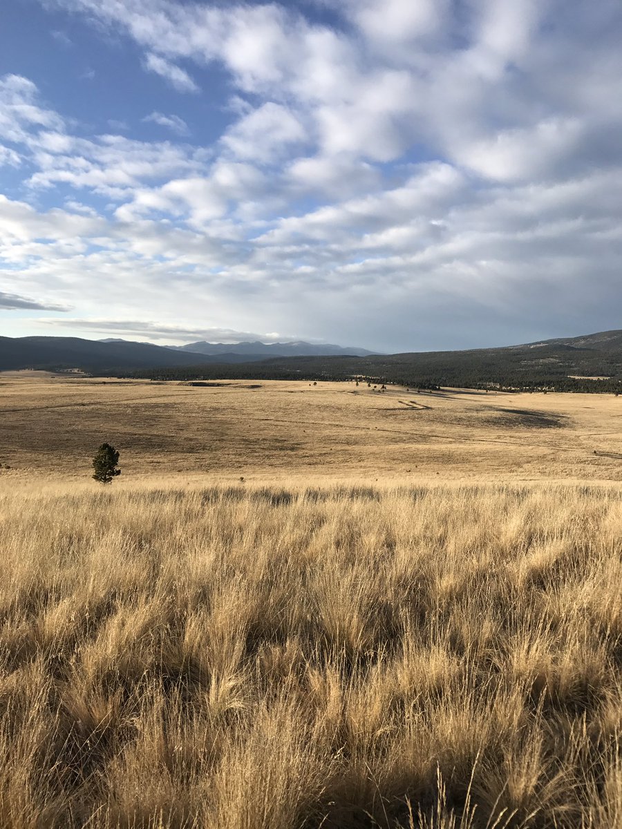 NeedBased's tweet image. First Site Visit to next Project. Elevation 11,033 ft. Off the hook. #rockymountainpassivehouse #needbased