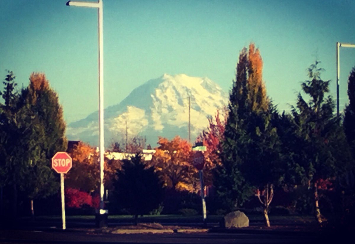 CloverParkTech's tweet photo. We hope you have a wonderful weekend!
#CPTCyourself #LiveLikeTheMountainIsOut https://t.co/Jts2TSoEJd