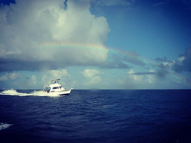 AKResort's tweet photo. A rainbow to celebrate my 100th dive! 💯🌈🎉 #AnthonysKeyResort #AnthonysKey #Roatan #Scuba #scubadiving #Rainbow : @erin_alwon https://t.co/H6yZ5yD3ya