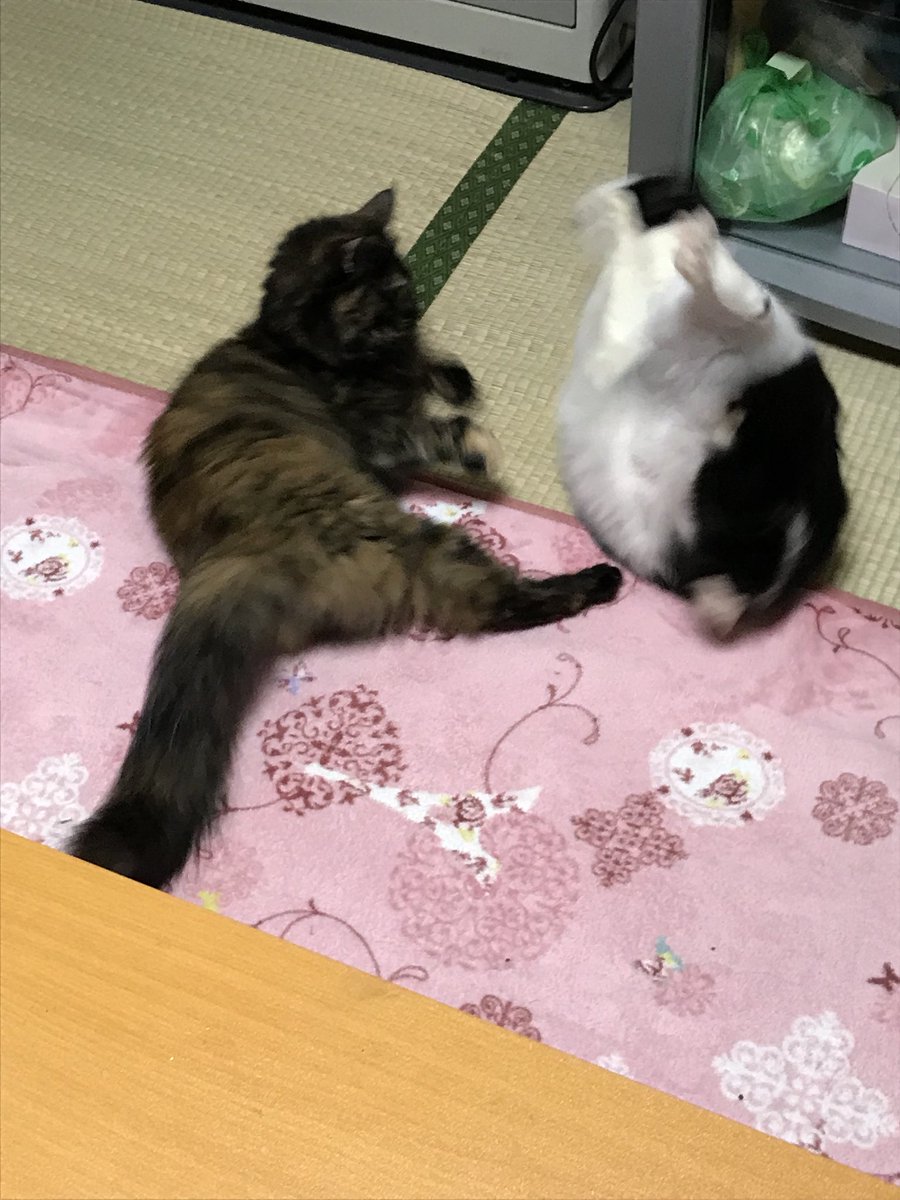 おかしい写真 おかしい写真