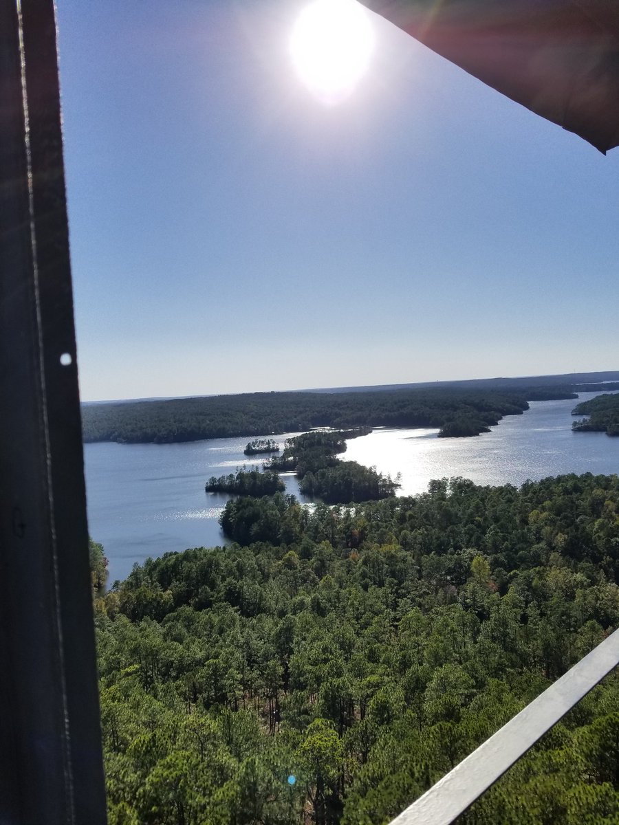 mathis95's tweet image. Ya I could get use to it here.