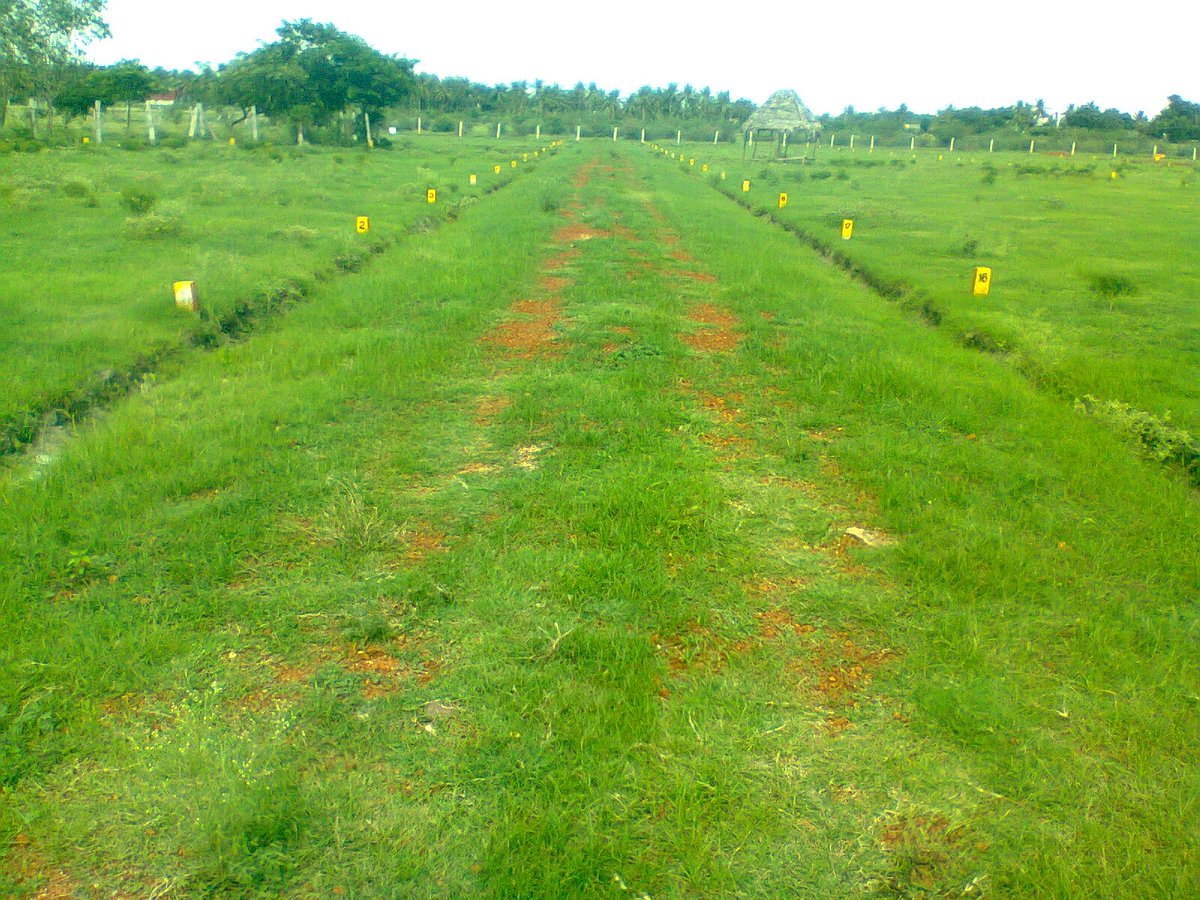 splendidbuilder's tweet image. #Plots #Land #Sites for #sale in #Budigere cross #Bangalore for more info: 9964455552