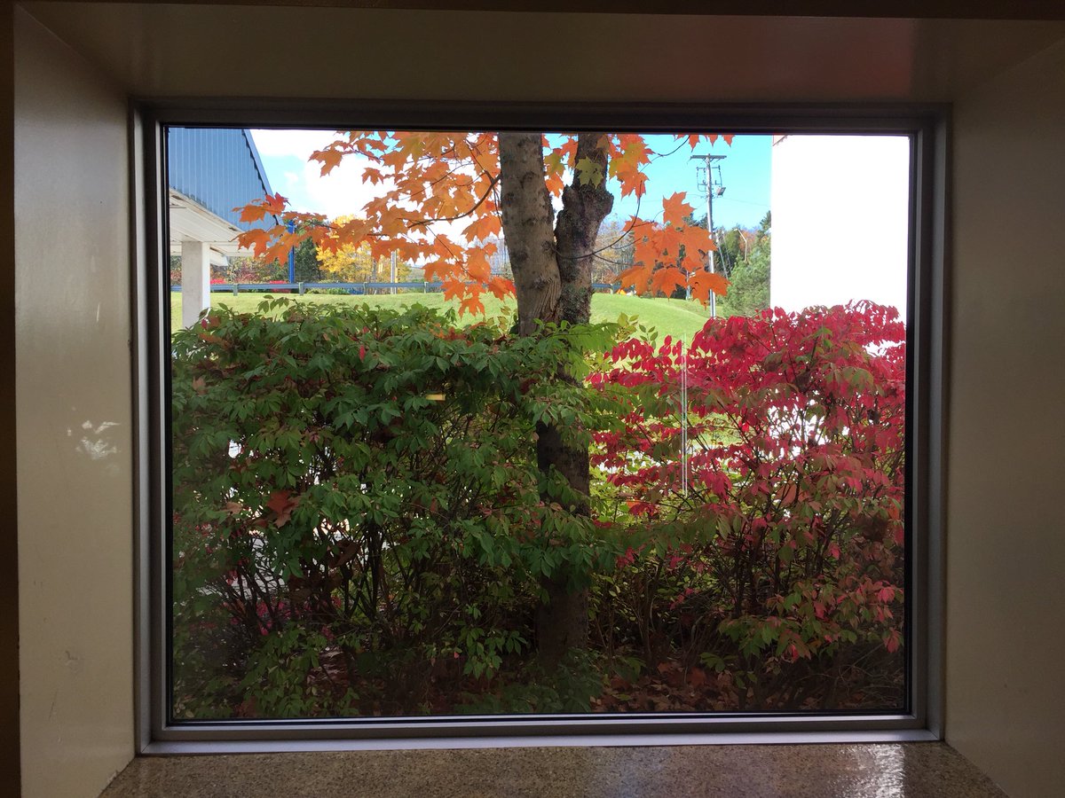 tmhill_tara's tweet photo. Looking out from @SackvilleSports Stadium today I saw this beaut ...#alreadyframed #Sackville https://t.co/n1QSz1QnJ9