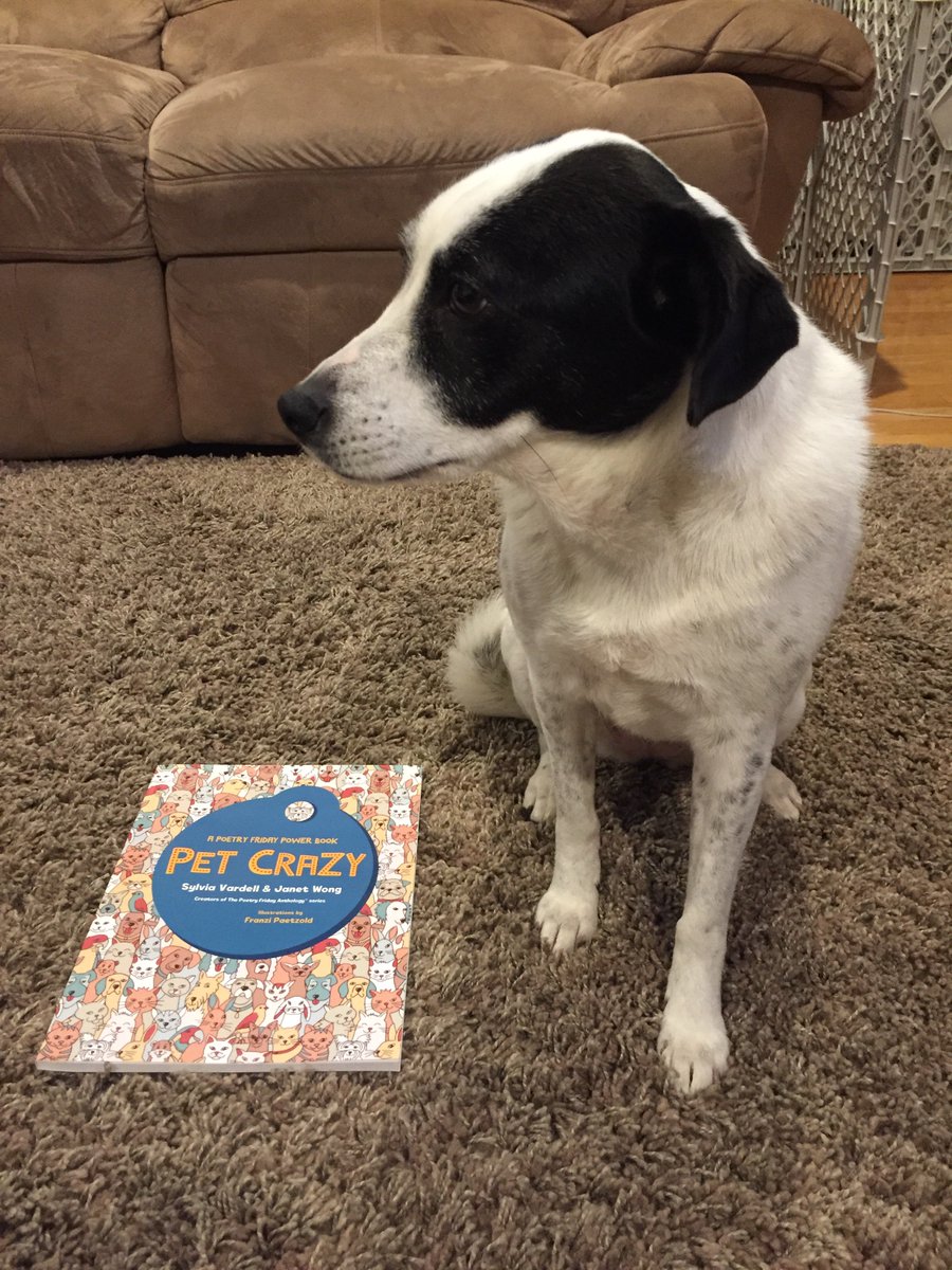 amancinelli's tweet photo. #RRWC50 #janetwongauthor #TheBooksource
Getting ready to check out the book Pet Crazy with my pet! https://t.co/XvmhC8nmE7