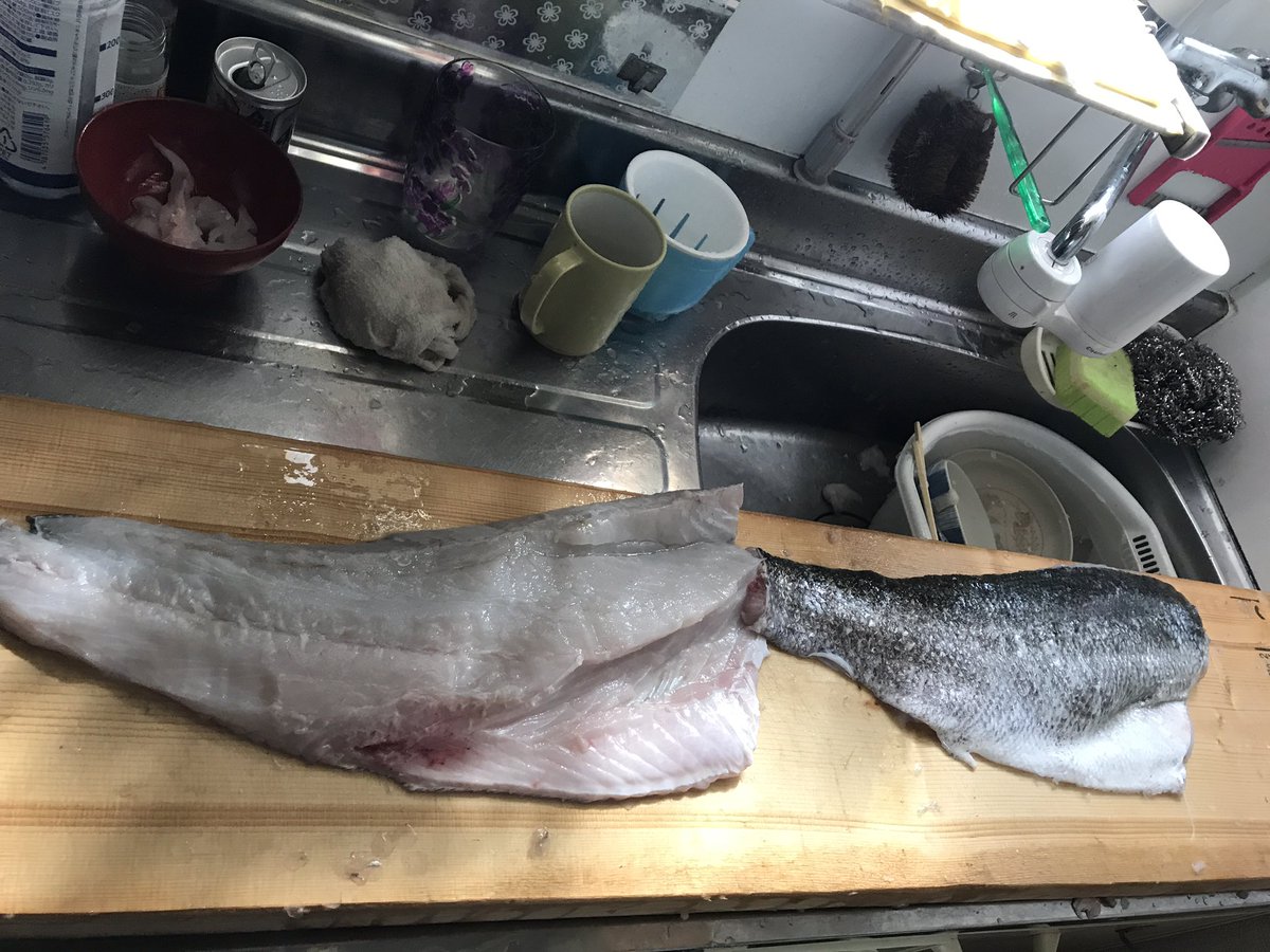 エモーションさわだ 4月 昨日の釣果その2です 朝まずめ時合い終了して ポイント移動して神戸の都賀川河口で9時までルアーフィッシング 2時間ほどロングミノーを投げ倒し あたりが4回ほどあり１匹hitのエラ洗いバラシの後 粘ってさらにhit 85センチの