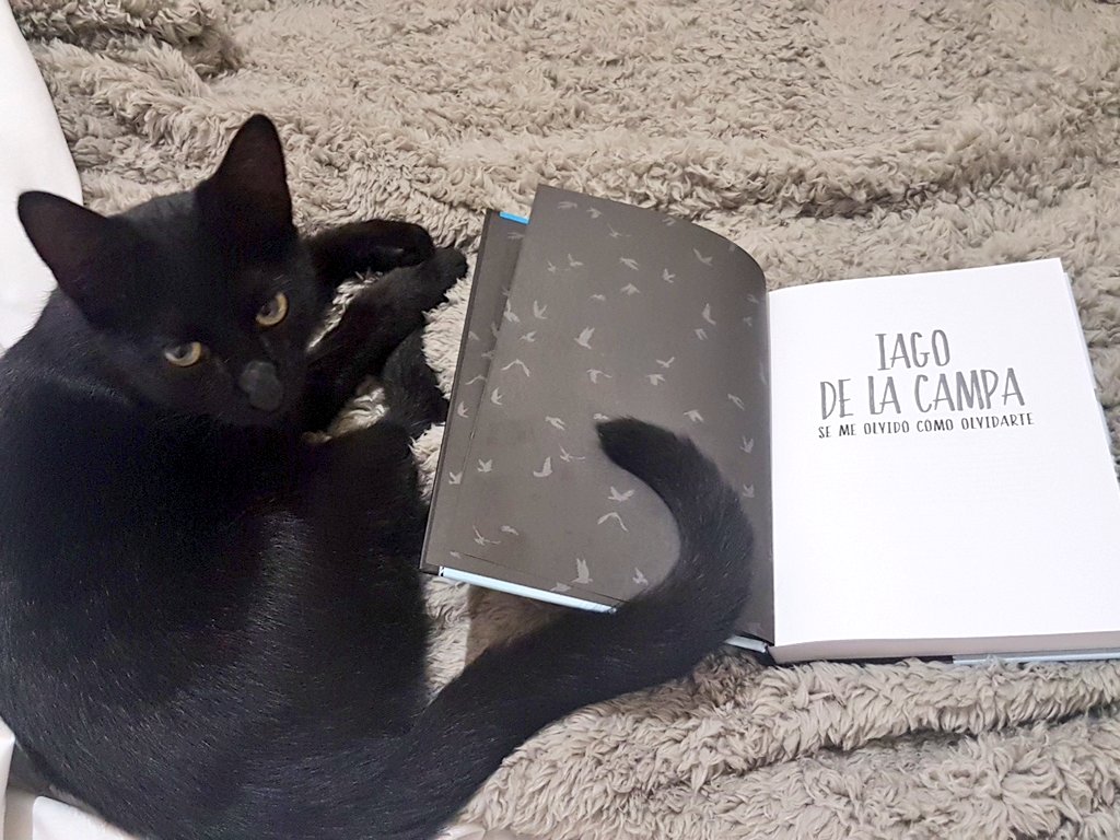 sara_moron's tweet photo. Que dice mi amigo que no importa la hora que sea para empezar con esta maravilla.. #IagodelaCampa #SeMeOlvidoComoOlvidarte https://t.co/ASH0BcNYur