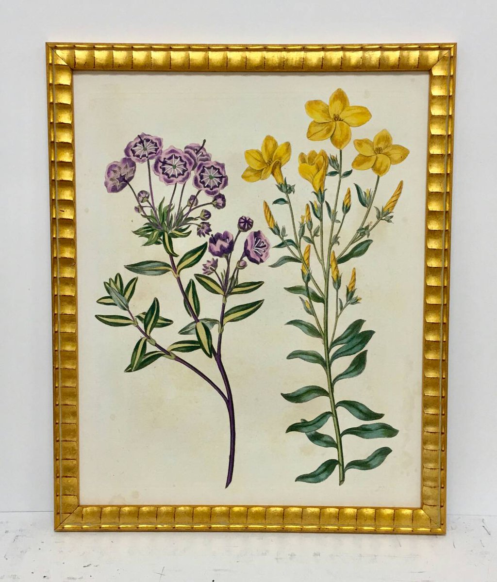 LittleHouseShop's tweet photo. Don't miss our trunk show tomorrow - 20% off special orders on custom framed prints and mirrors by John L. McCullough Inc. #décor #art https://t.co/mcdDrc6QBX