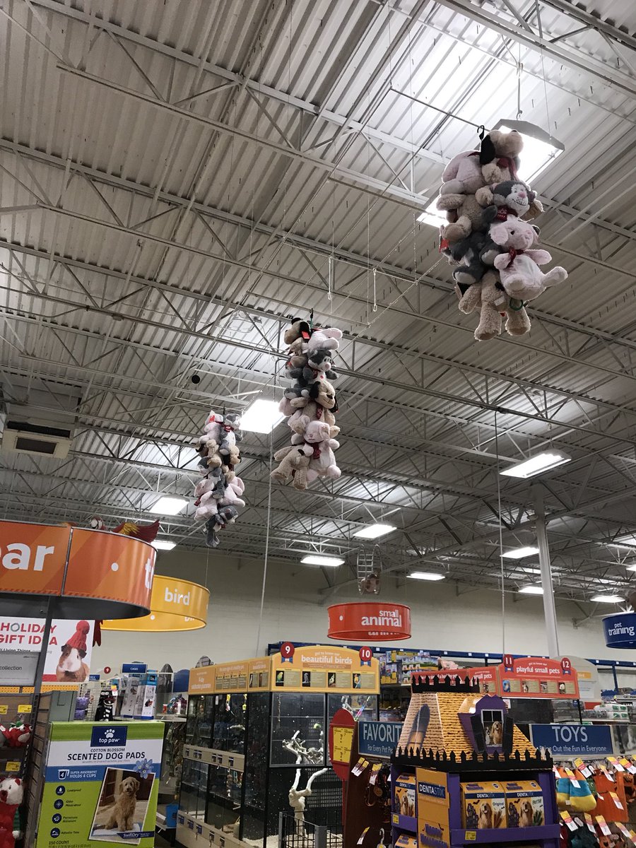 Petsmart tweet media