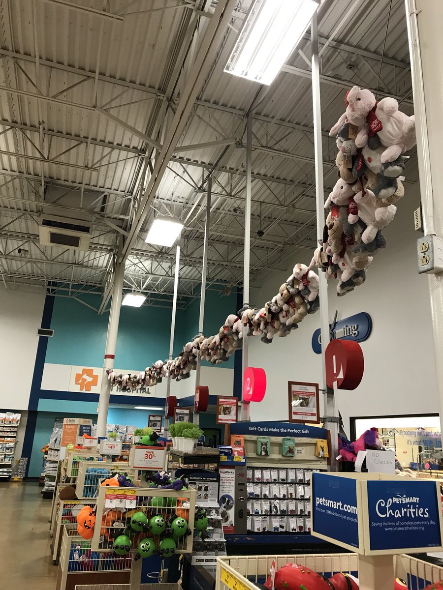 Petsmart tweet media