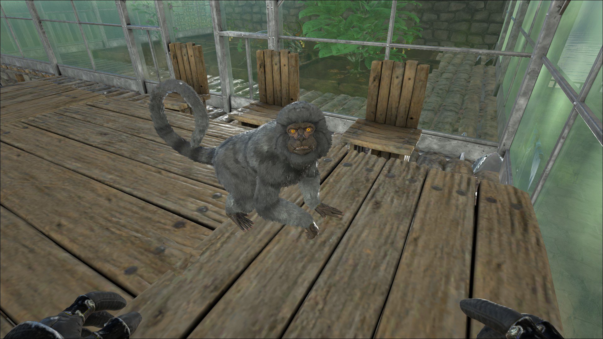 魅惑色のぱんだ Ark ブリーディングのケアの合間にちょいちょい高レベルテイム狙ってますｗ ギガで肉集め中に見つけたlv150メソピテクスをテイムしました お猿さんは前からずっと140 探してたんですけどやっと見つけたｗ この子はオスなので いつかメス