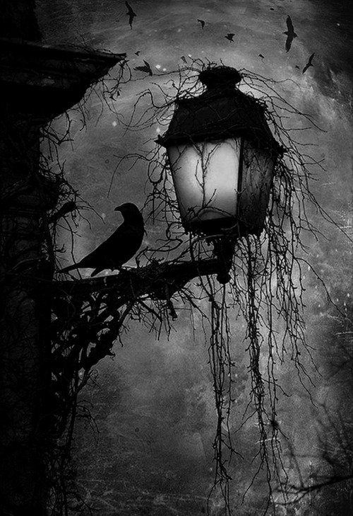 Happy Halloween!