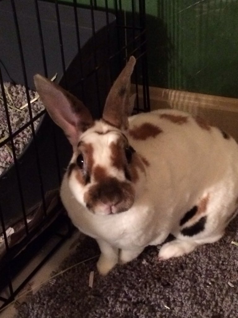 lynn_richards's tweet photo. @TGIBun Our buns could be related! https://t.co/iB6QHgryJ1