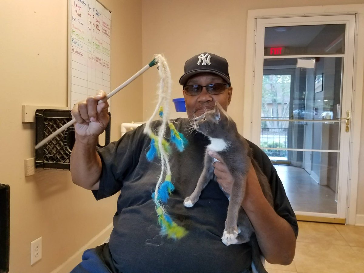 pawsatlanta's tweet image. Champagne came to us a young mama. Now she’s somebody’s baby girl!  #zapposforpets @AnimalLeague @Zappos