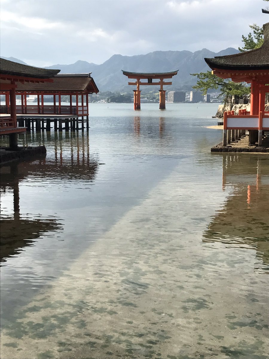 DVD322Mac's tweet photo. 修学旅行楽しみすぎました(*´˘`*)♥
全部��れて最高💕でももう入学当初から楽しみにしてた修学旅行が終わってしまうなんて悲しい。でも悔いはないので良かったです♡今日はバイトや。修学旅行明けのバイト頑張ります！ https://t.co/SKzvCFtxQG