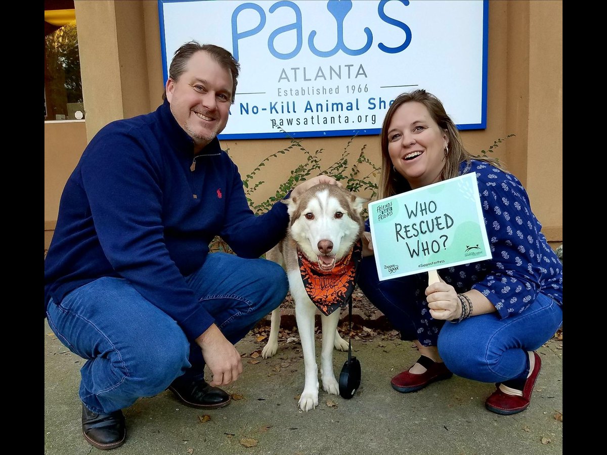pawsatlanta's tweet image. Celebrating! This couple just adopted Grandpa, their THIRD foster “fail” Husky and they adore him., @Zappos @AnimalLeague #zapposforpets